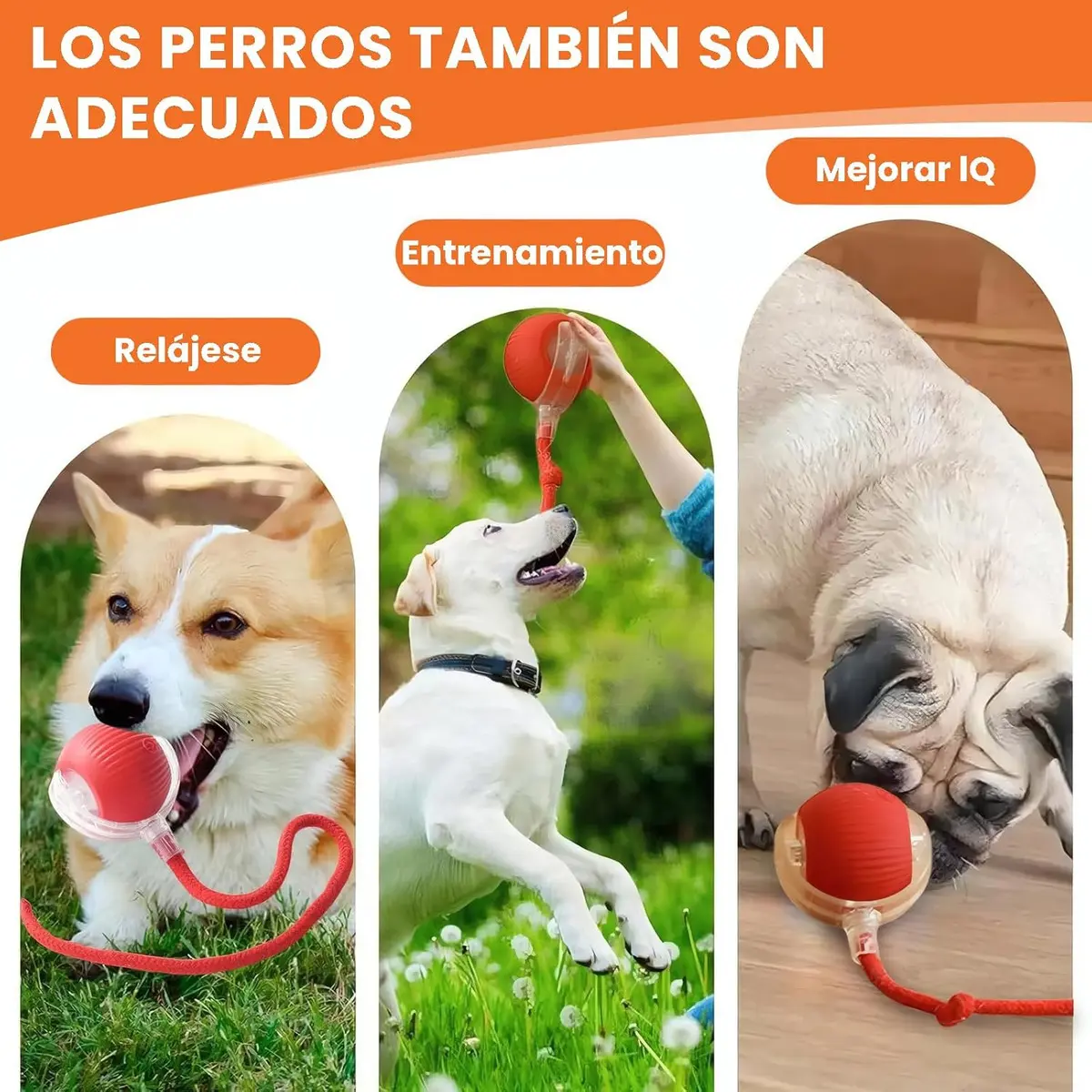 Pelota Interactiva con cuerda y luces - Imagen 8